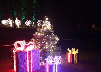 Empfehlung vom Hotel & Restaurant Hauber Dresden Christmas Garden